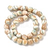 Natural Seashell Shell Beads Strands SH-CBAFEDD-01B-4