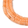 Natural Freshwater Shell Beads Strands SHEL-P017-01B-05-3