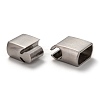 Tarnish Resistant 304 Stainless Steel Magnetic Clasps with Glue-in Ends STAS-I171-11P-3