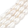 Natural Cultured Freshwater Pearl Beads Strands PEAR-P062-01E-2