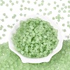 FGB Frosted Transparent Glass Seed Beads SEED-N013-03A-08-2