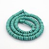 Synthetic Turquoise Beads Strands G-J184-01-2