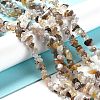 Natural Botswana Agate Beads Strands LS-G-E607-A10-4