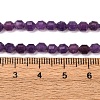 Natural Lepidolite/Purple Mica Stone Beads Strands G-A260-A04-01-6