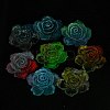 Luminous Transparent Epoxy Resin Decoden Cabochons CRES-M032-04A-2