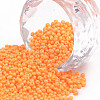 11/0 Grade A Baking Paint Glass Seed Beads X-SEED-N001-A-1066-1