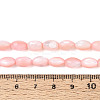 Natural Trochus Shell Beads Strands SHEL-K006-19-01F-4
