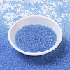 MIYUKI Round Rocailles Beads X-SEED-G007-RR0159-2