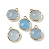 Dyed Natural White Jade Faceted Flat Round Charms G-U028-03G-10-1