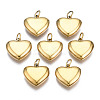 316 Surgical Stainless Steel Charms STAS-N097-045-1