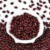 Oval Glass Seed Beads SEED-T009-02H-1