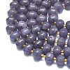 Natural Lepidolite/Purple Mica Stone Beads Strands G-P573-B05-01-3