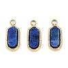 Natural Lapis Lazuli Rectangle Charms STAS-I325-141A-G-1