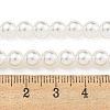 Glass Pearl Beads Strands X-HY-G002-01C-01-5