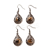 Natural Tiger Eye Teardrop Dangle Earrings EJEW-B055-02R-18-1