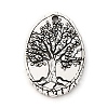 Tibetan Style Alloy Pendants LS-FIND-A053-05C-AS-1