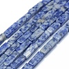 Natural Blue Spot Jasper Beads Strands G-F631-E04-1