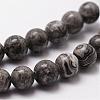 Natural Map Stone/Picasso Stone/Picasso Jasper Bead Strands G-D840-60-12mm-3