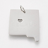 Tarnish Resistant 201 Stainless Steel Pendants STAS-T038-64-2