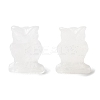 Natural Quartz Crystal Carved Figurines DJEW-L023-G13-1