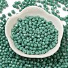 Baking Paint Glass Seed Beads SEED-C004-01I-2