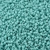 MIYUKI Delica Beads X-SEED-J020-DB1136-3