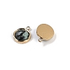 Natural African Turquoise(Jasper) Faceted Flat Round Charms STAS-I325-147G-01-2
