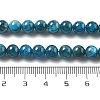 Natural Apatite Beads Strands G-O186-G01-01-4