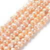 Natural Cultured Freshwater Pearl Beads Strands PEAR-E018-76-1