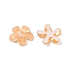 Translucent Epoxy Resin Glitter Powder Decoden Cabochons CRES-S367-14A-2