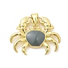Brass Enamel Pendants KK-H529-44G-1
