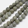 Natural Labradorite Frosted Bead Strands G-O155-04A-6mm-1