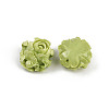 Synthetic Coral Dyed Carved Beads SHEL-D001-01B-2