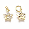 Brass Micro Pave Cubic Zirconia Charms ZIRC-F111-15G-2