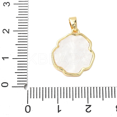 Brass Acrylic Pendants KK-D357-15G-1