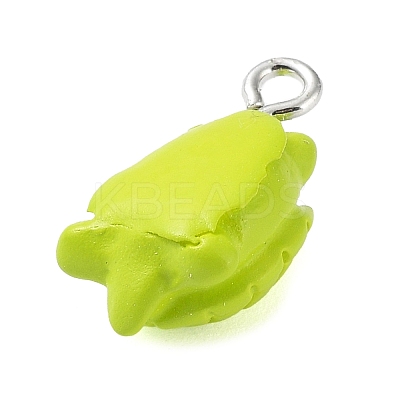 Opaque Resin Pendants LS-RESI-Z014-01J-1