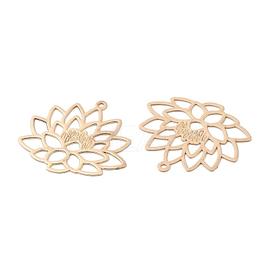 Long-Lasting Plated Brass Pendants KK-K336-21KCG-1