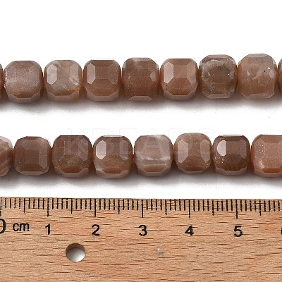Natural Sunstone Beads Strands G-C267-A08-1