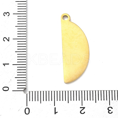 304 Stainless Steel Fruit Enamel Pendants LS-STAS-G362-04G-15-1