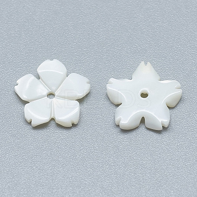 Freshwater Shell Beads X-SHEL-S275-033-1