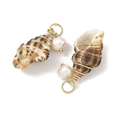 Copper Wire Wrapped Natural Spiral Shell Pendants Pendants PALLOY-JF05972-01-1