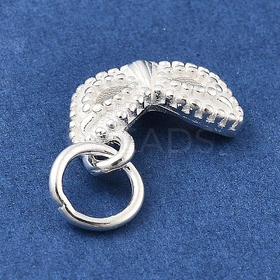 925 Sterling Silver Charms STER-S009-07D-S-1