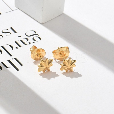 304 Stainless Steel Stud Earrings for Women STAS-Z117-17G-01-1