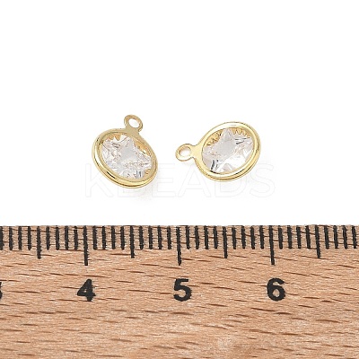Brass Pave Clear Cubic Zirconia Charms CU-CBAD360-03G-01-1