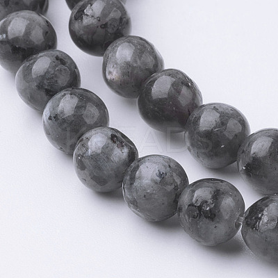 Natural Black Larvikite Bead Strands G-G735-57-6mm-1