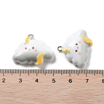 Weather Theme Opaque Resin Pendants LS-RESI-R444-01B-1