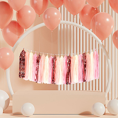 Aluminum Foil Tassels Hanging Garland Banner DIY-WH20011-29A-1