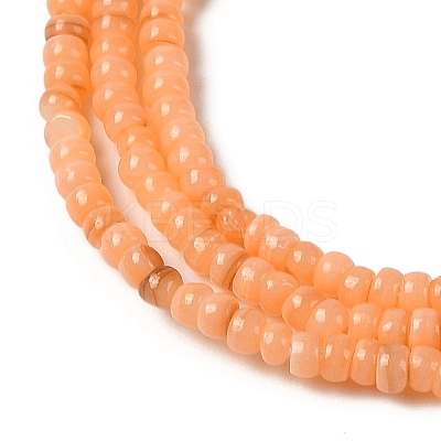 Natural Freshwater Shell Beads Strands SHEL-P017-01B-05-1