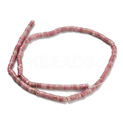 Natural Rhodonite Beads Strands G-Z110-A08-2x4mm-1