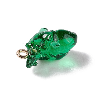Transparent Resin Pendants RESI-E028-01G-10-1